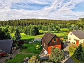 Stunning apartment with terrace in Saxony Bad Elster